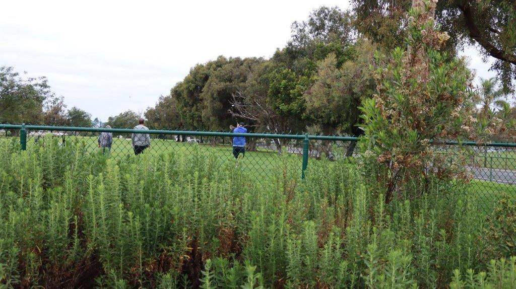 A group of people sitting on a fence

Description automatically generated