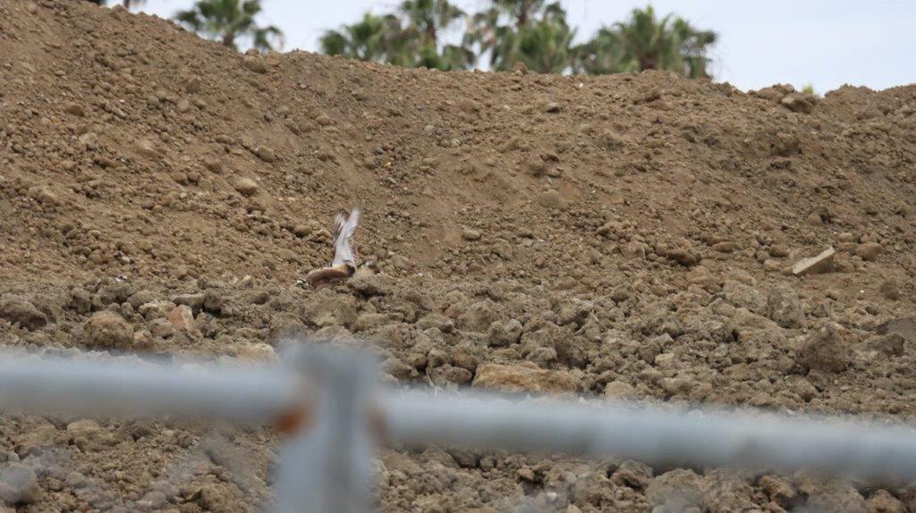 A dirt hill with a metal fence

Description automatically generated