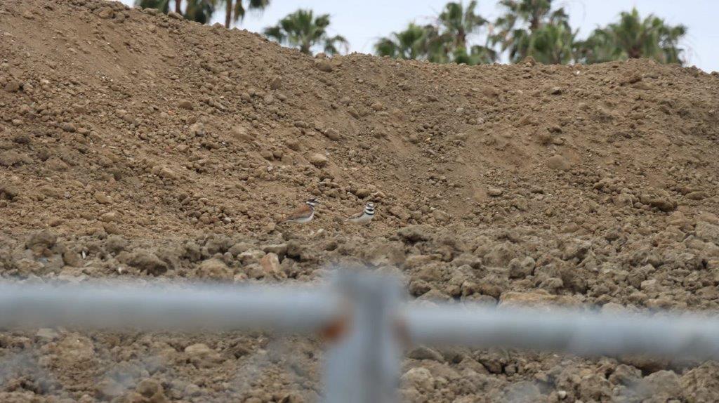 A dirt hill with trees in the background

Description automatically generated