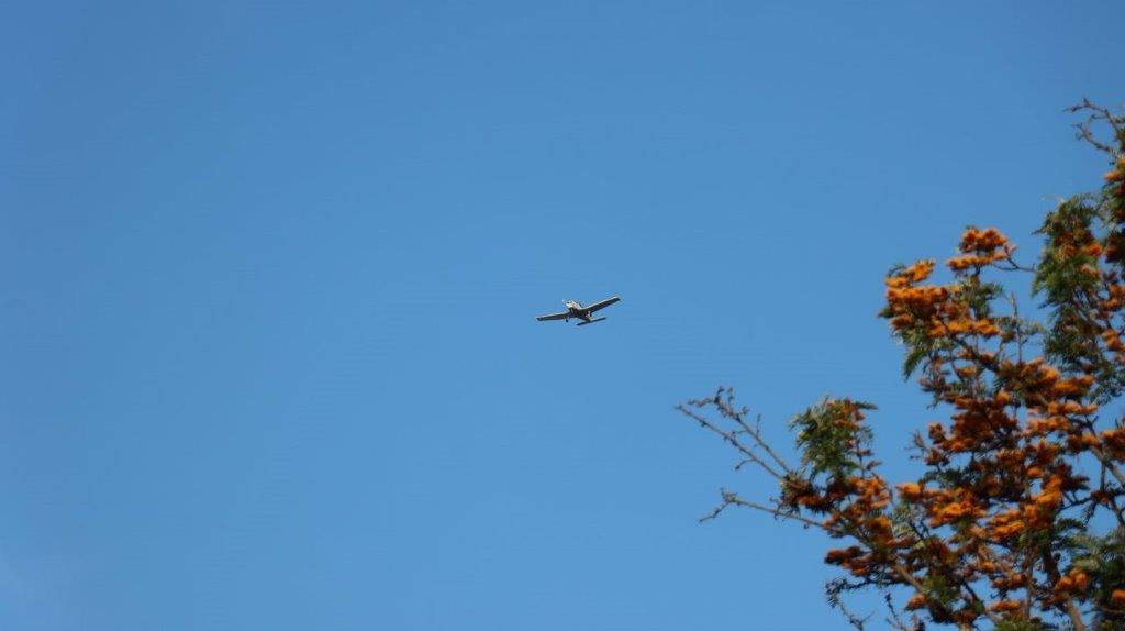 A plane flying in the sky

Description automatically generated