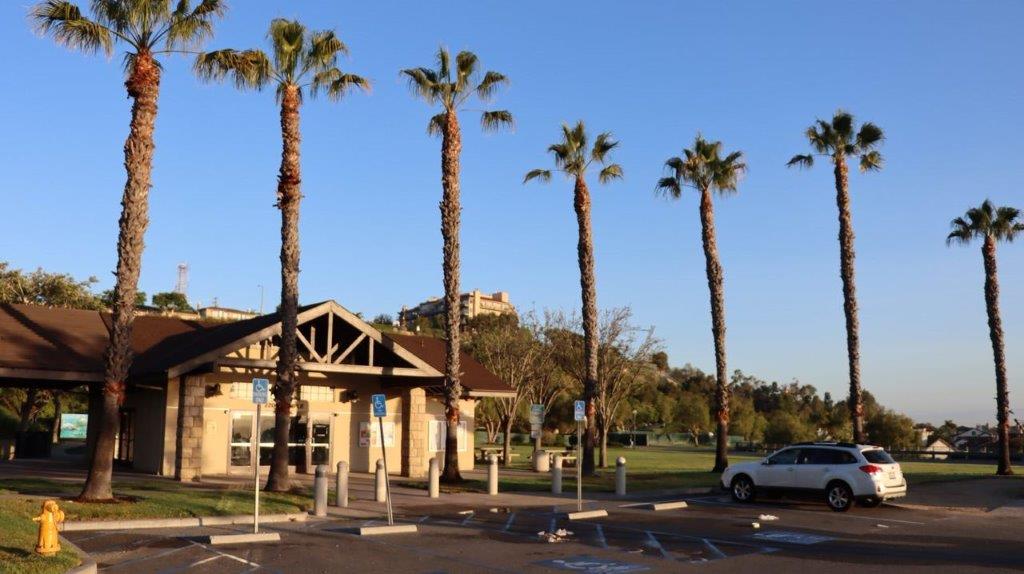 A building with palm trees in front of it

Description automatically generated