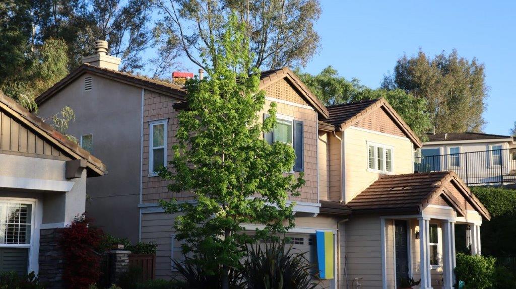 A house with a tree in the front

Description automatically generated