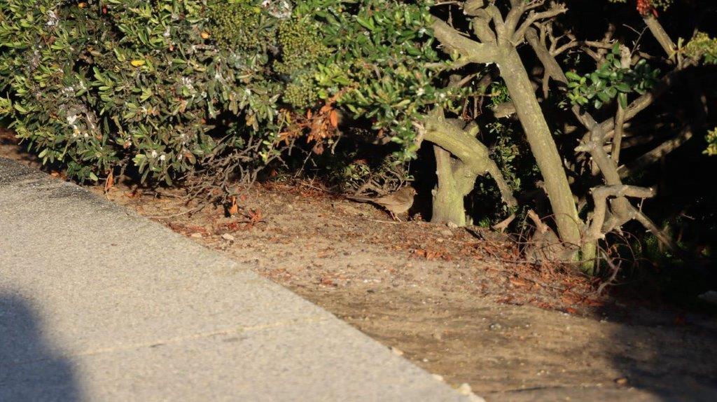 A road next to a tree

Description automatically generated