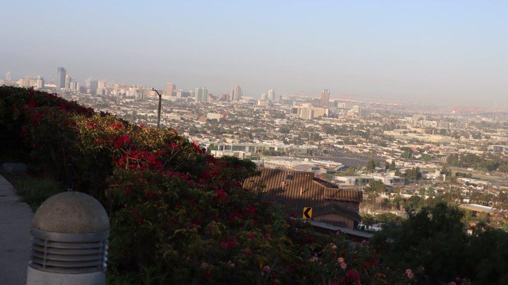 A view of a city from a hill

Description automatically generated
