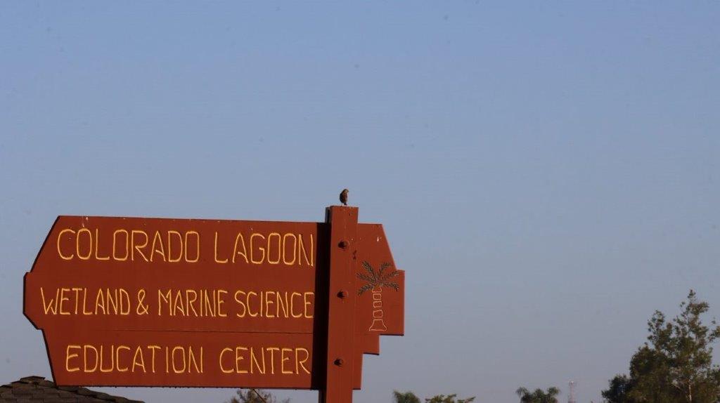 A close-up of a sign

Description automatically generated