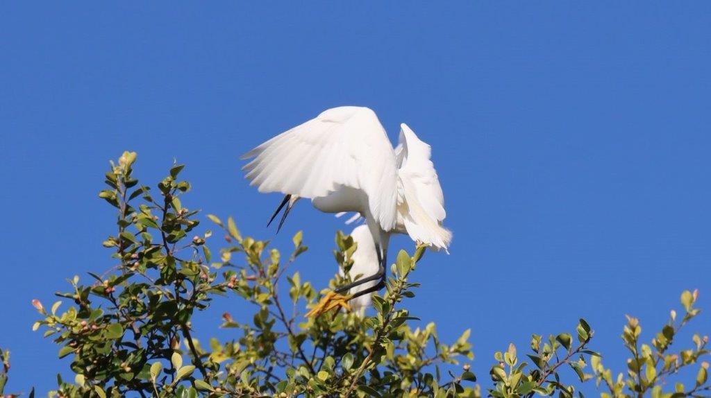 A bird in a tree

Description automatically generated