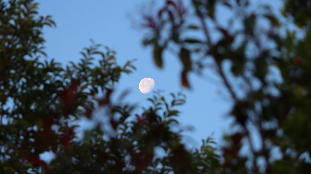 A moon in the sky

Description automatically generated