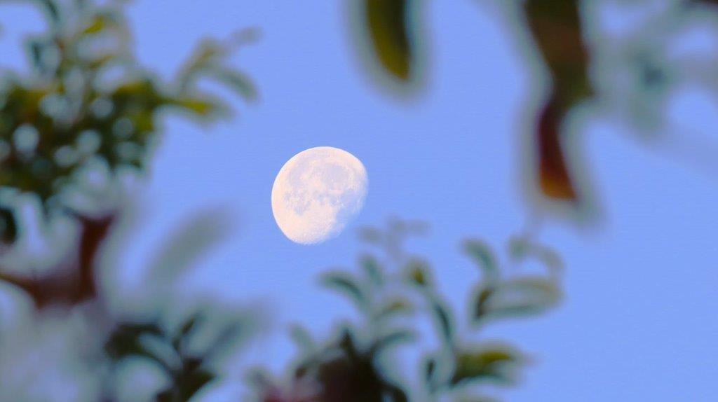 A moon in the sky

Description automatically generated