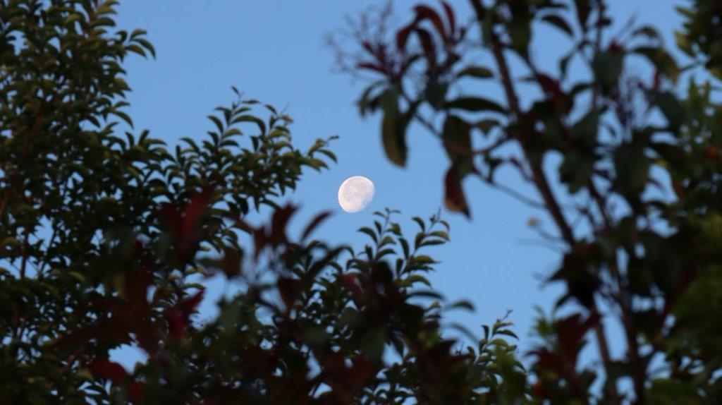 A moon in the sky

Description automatically generated