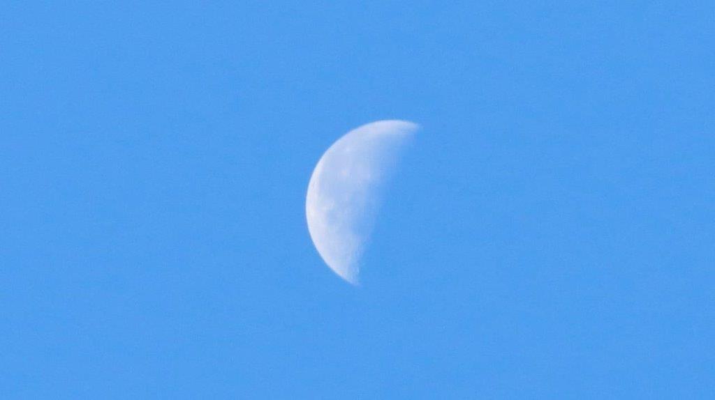 A half moon in a blue sky

Description automatically generated